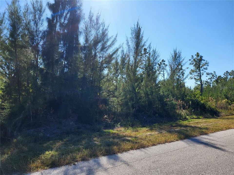 For Sale: $22,900 (0.23 acres)