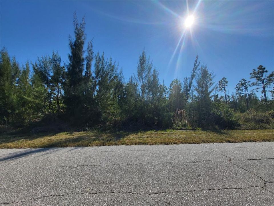 For Sale: $22,900 (0.23 acres)