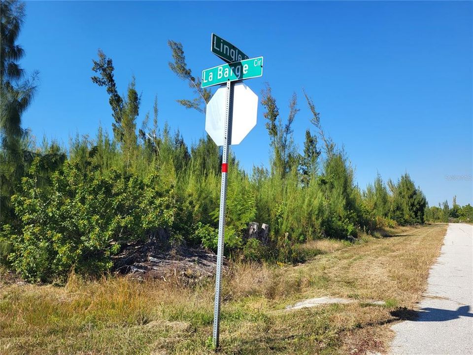 For Sale: $22,900 (0.23 acres)