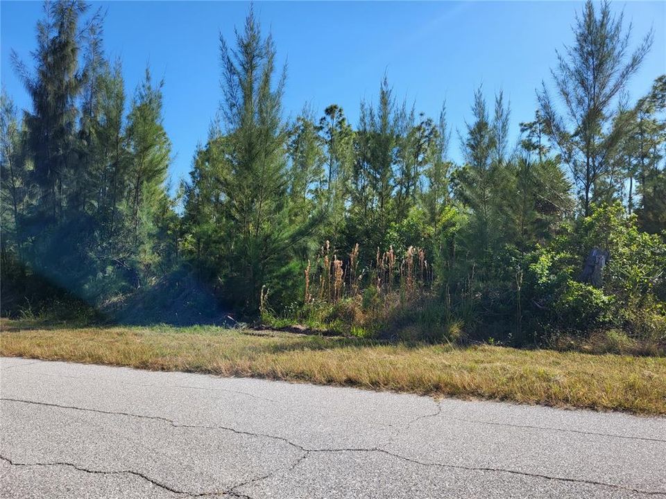 For Sale: $22,900 (0.23 acres)