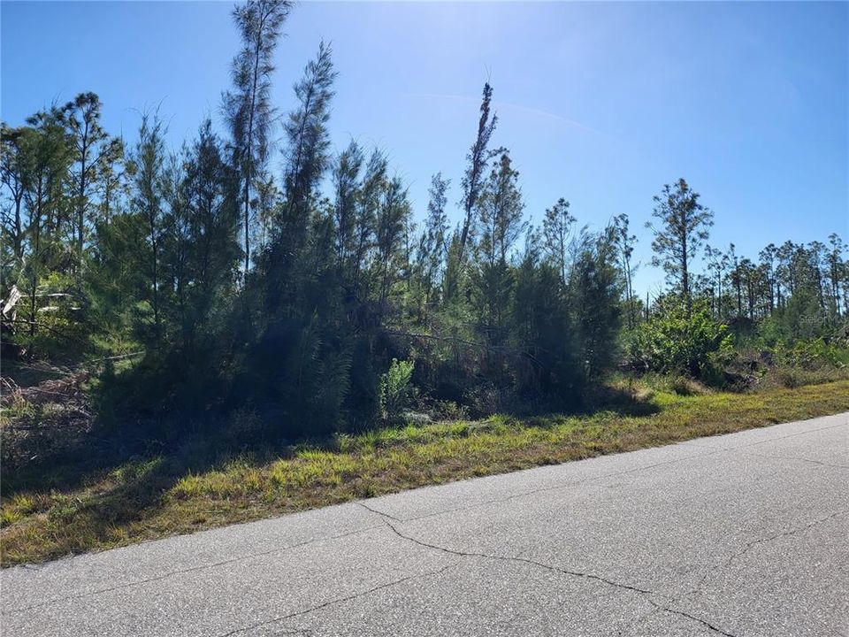 For Sale: $22,900 (0.23 acres)