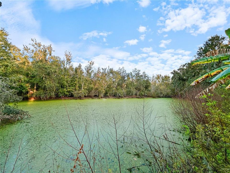 For Sale: $385,000 (3 beds, 2 baths, 1512 Square Feet)