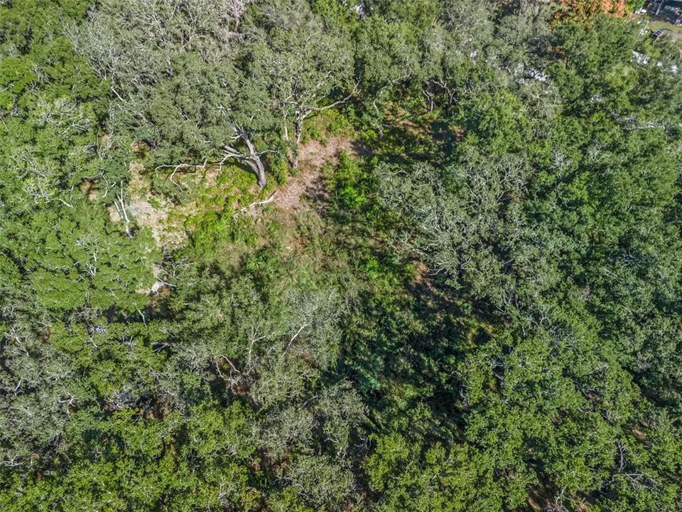 待售: $160,000 (1.88 acres)