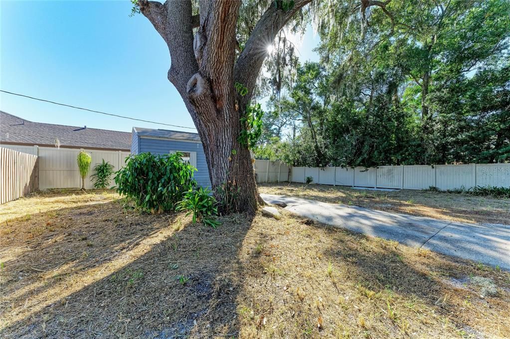 Под контрактом: $350,000 (4 спален, 2 ванн, 1199 Квадратных фут)