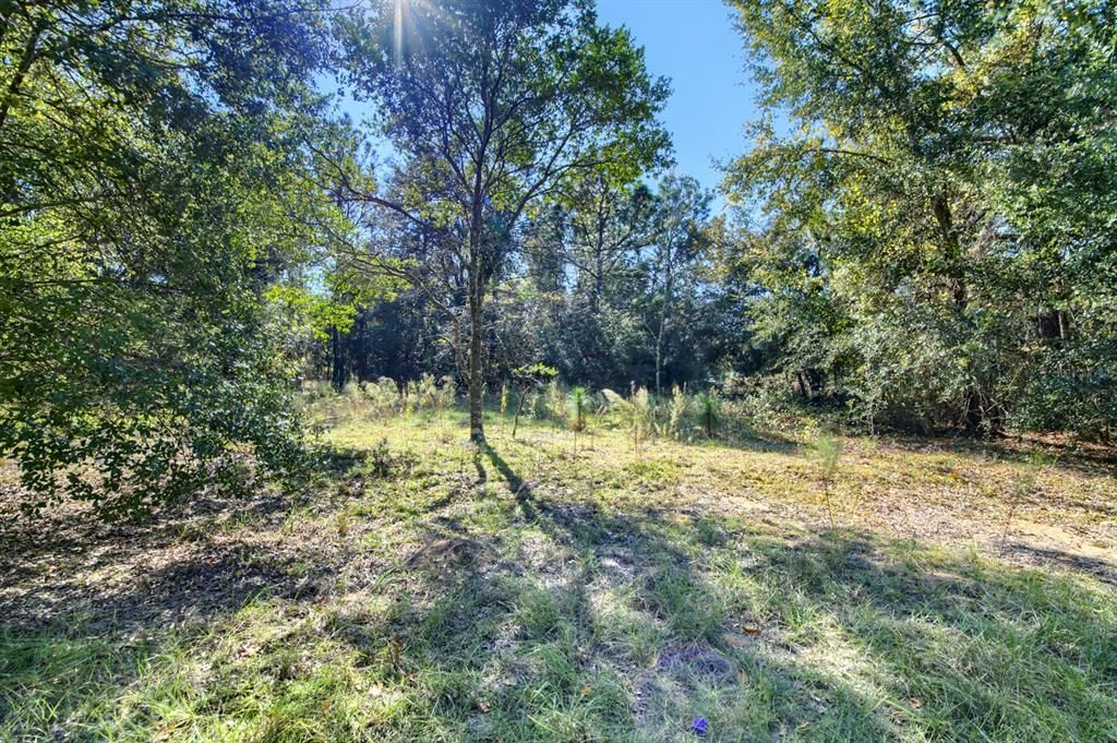 For Sale: $20,000 (0.23 acres)