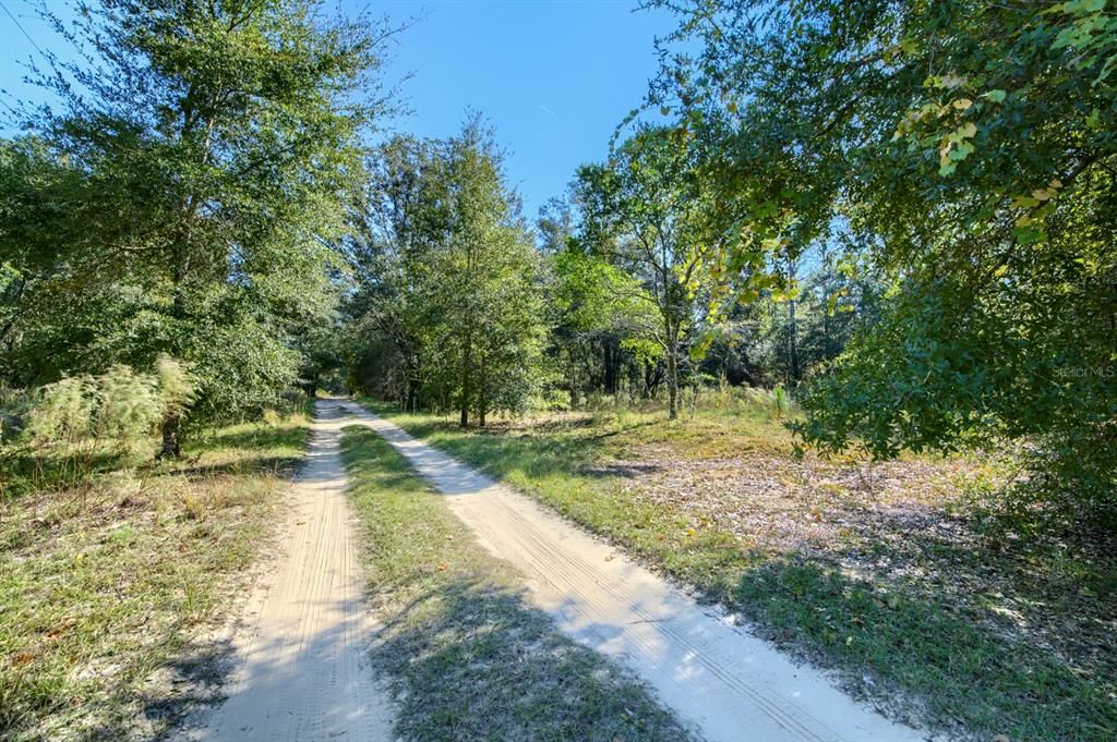 For Sale: $20,000 (0.23 acres)