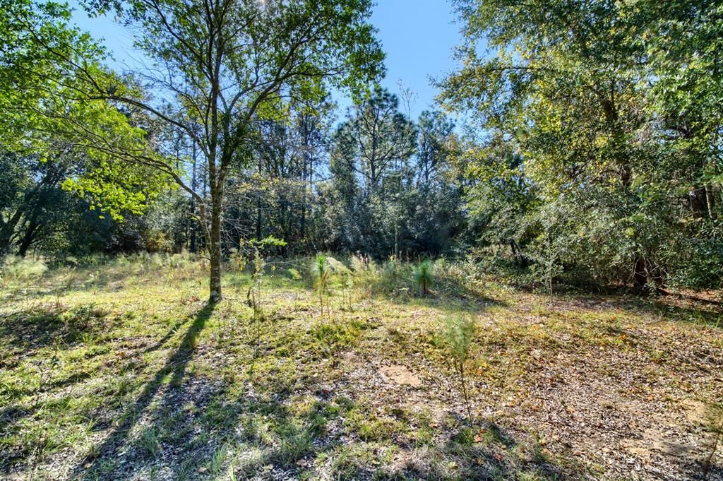 For Sale: $20,000 (0.23 acres)
