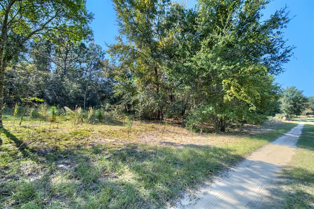 For Sale: $20,000 (0.23 acres)