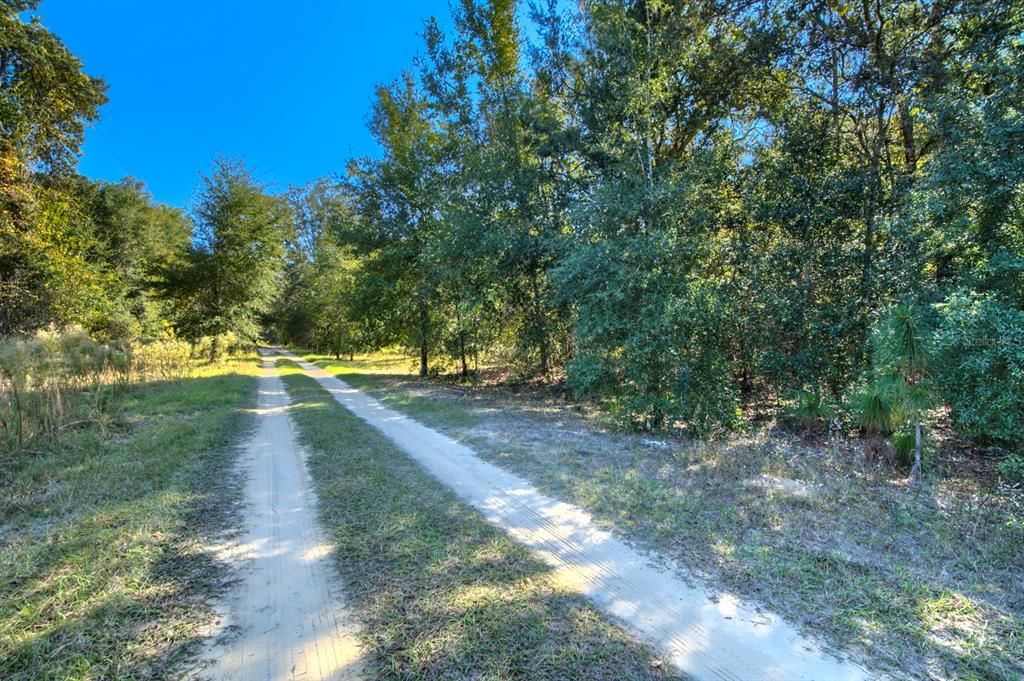 For Sale: $20,000 (0.23 acres)