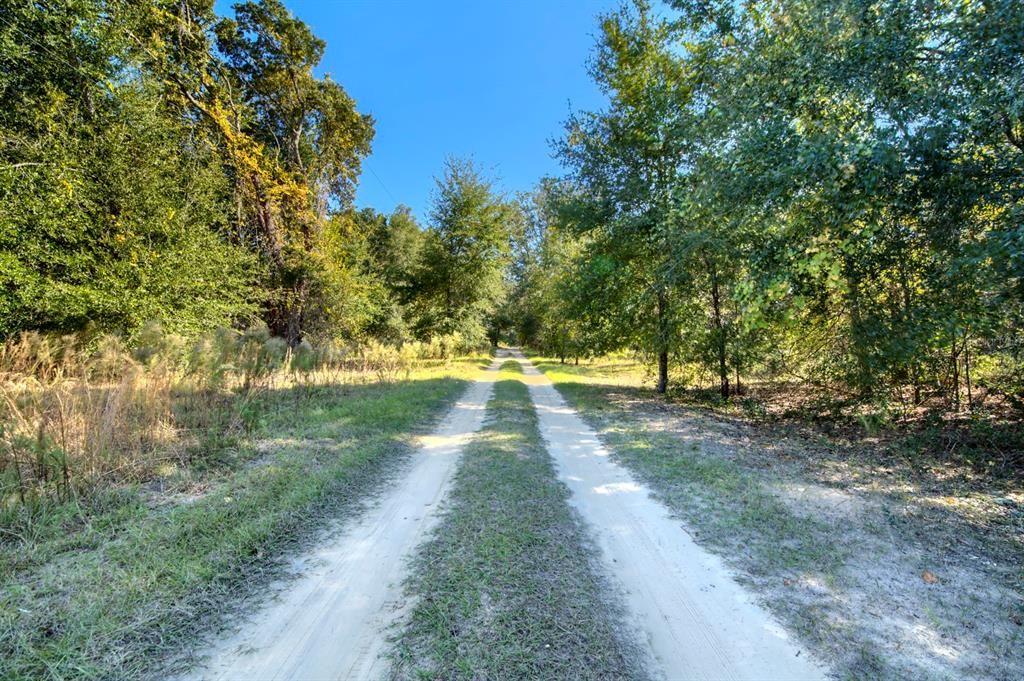 For Sale: $20,000 (0.23 acres)