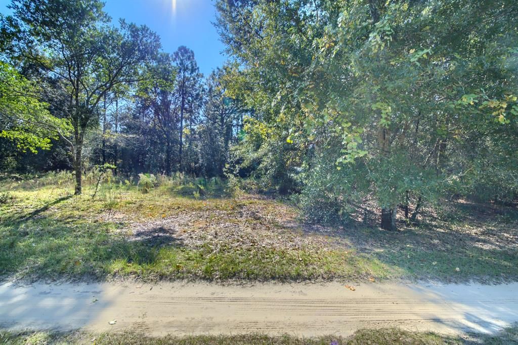 For Sale: $20,000 (0.23 acres)