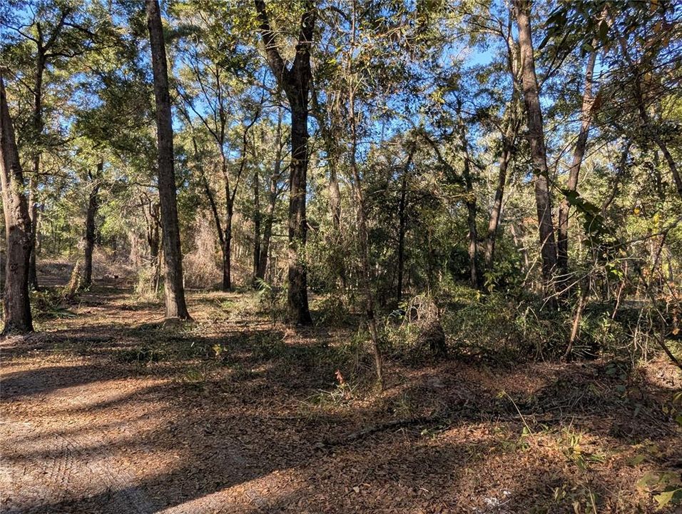 For Sale: $375,000 (3 beds, 2 baths, 1600 Square Feet)