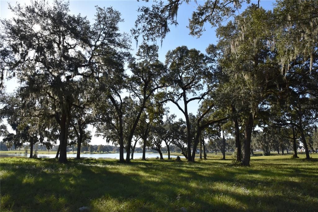 For Sale: $724,900 (16.81 acres)