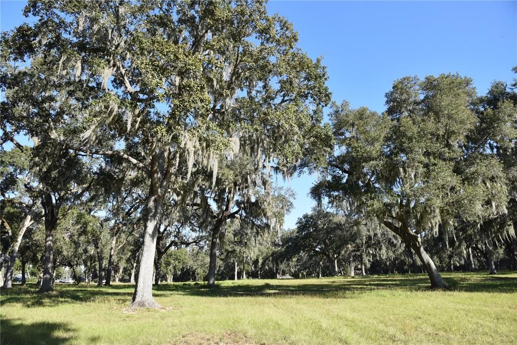 For Sale: $724,900 (16.81 acres)