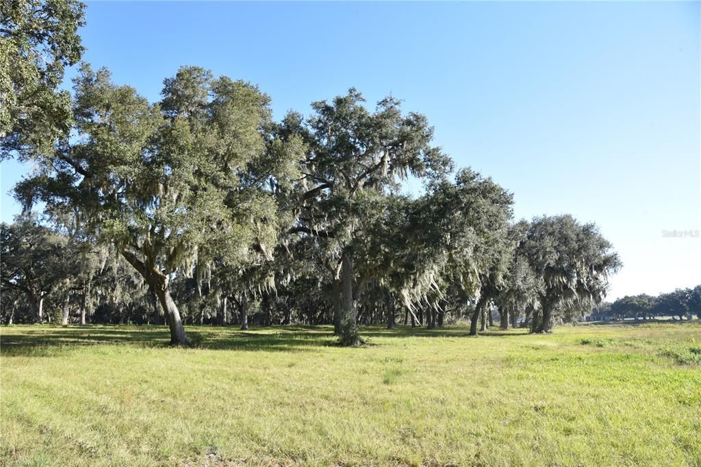 For Sale: $724,900 (16.81 acres)