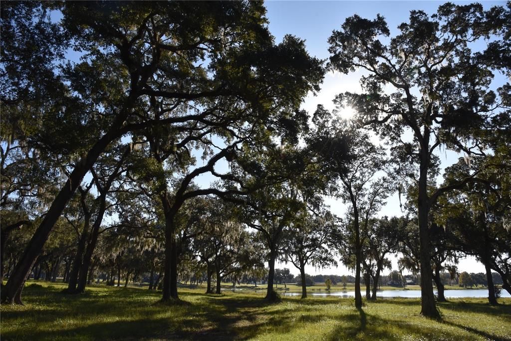 For Sale: $724,900 (16.81 acres)