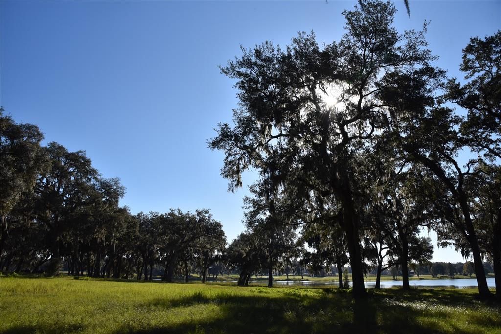 For Sale: $724,900 (16.81 acres)