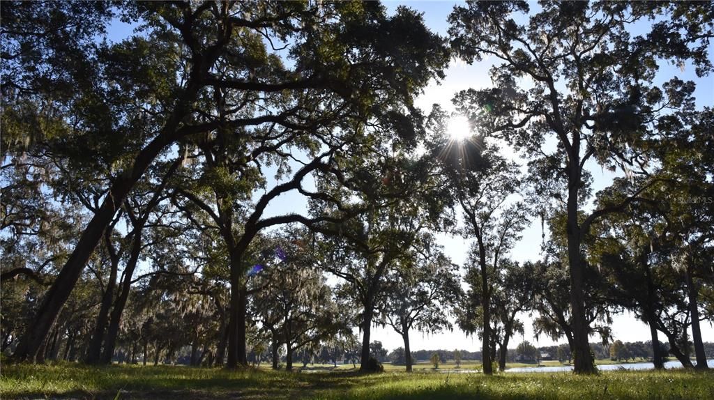 For Sale: $724,900 (16.81 acres)