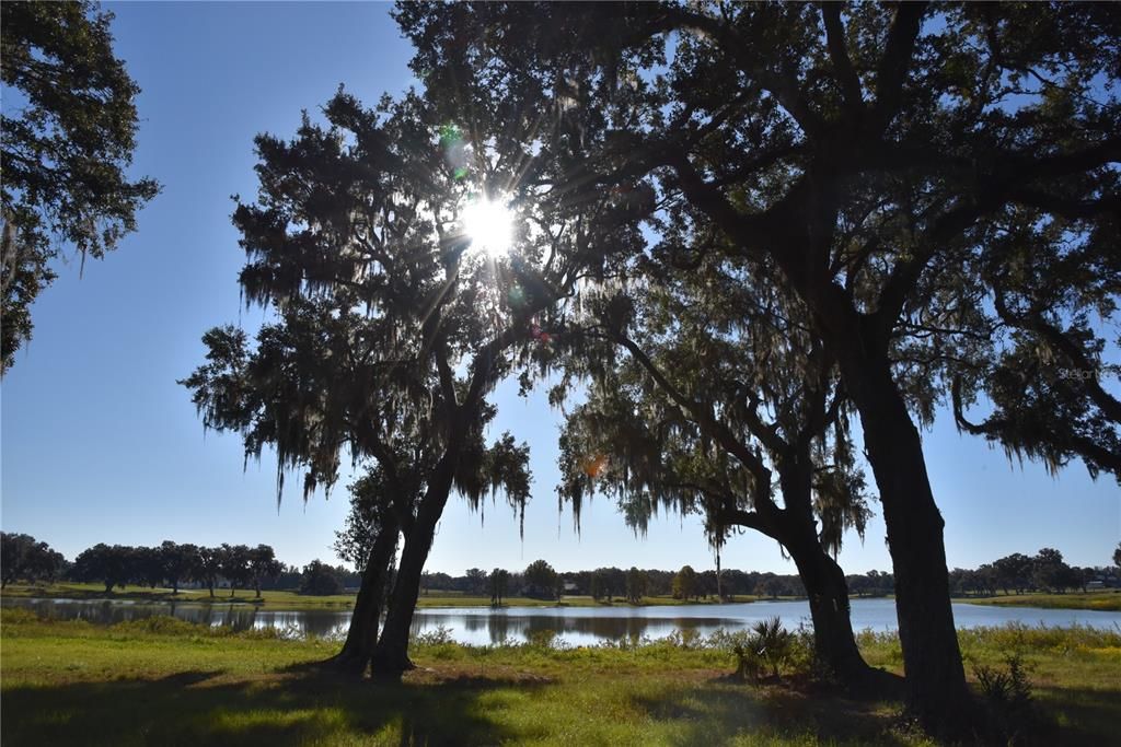 For Sale: $724,900 (16.81 acres)