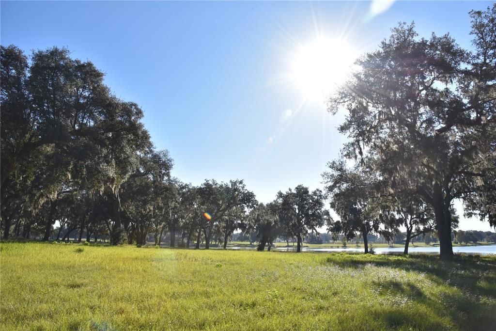 For Sale: $724,900 (16.81 acres)