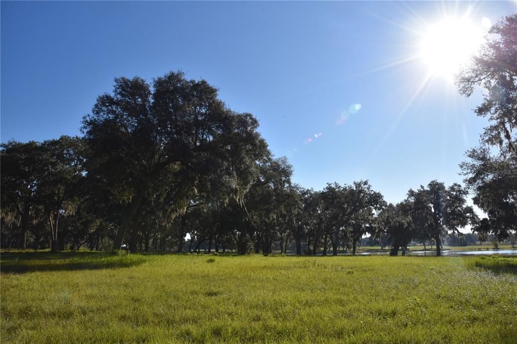 For Sale: $724,900 (16.81 acres)