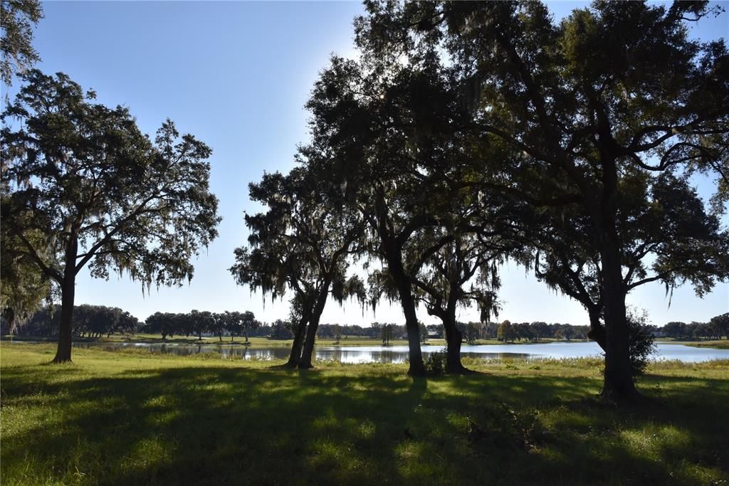 For Sale: $724,900 (16.81 acres)