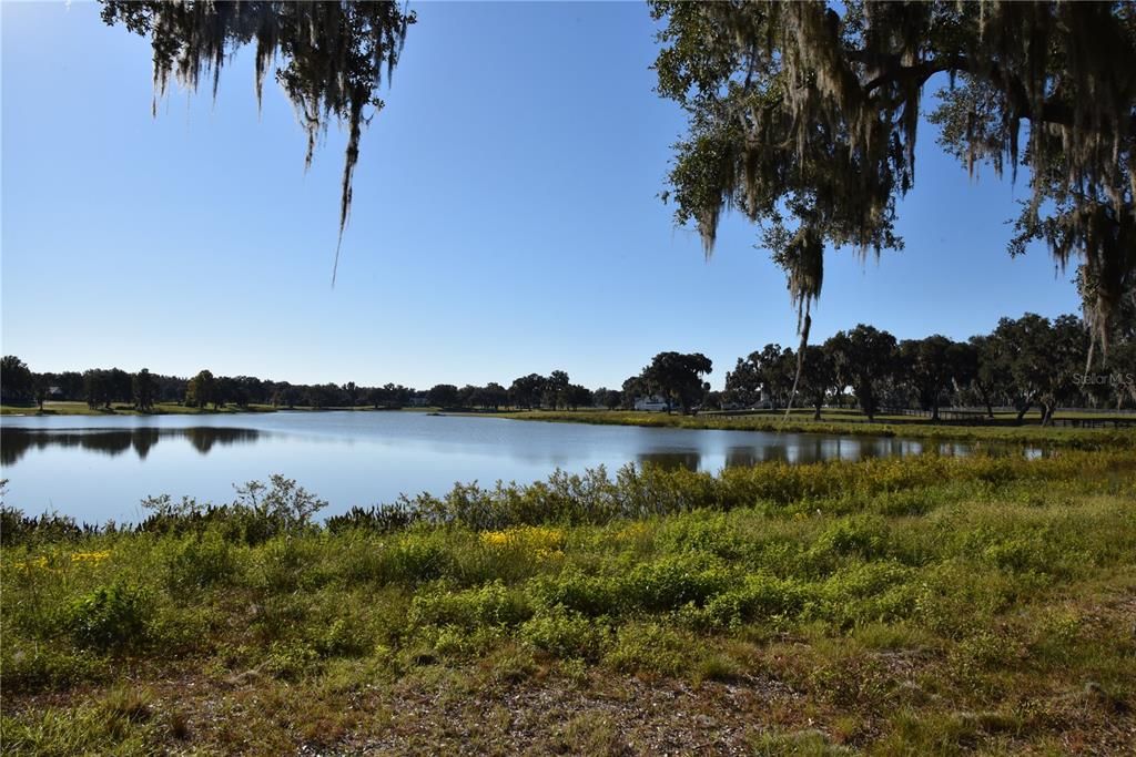 For Sale: $724,900 (16.81 acres)