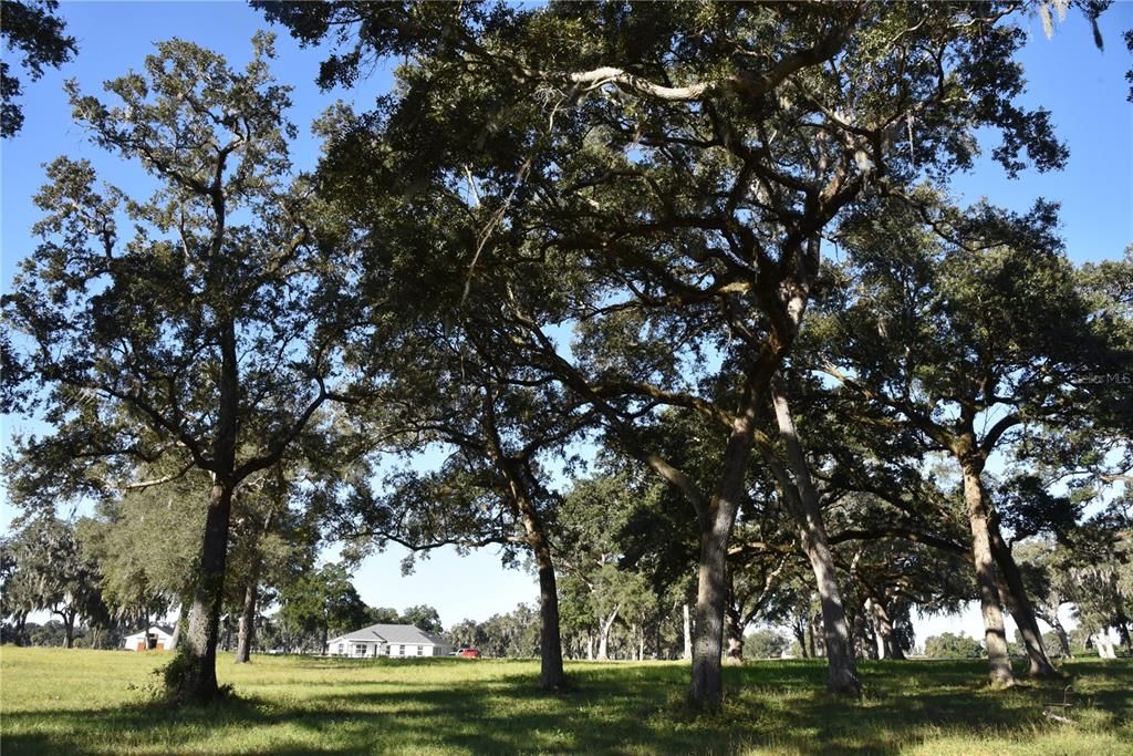 For Sale: $724,900 (16.81 acres)