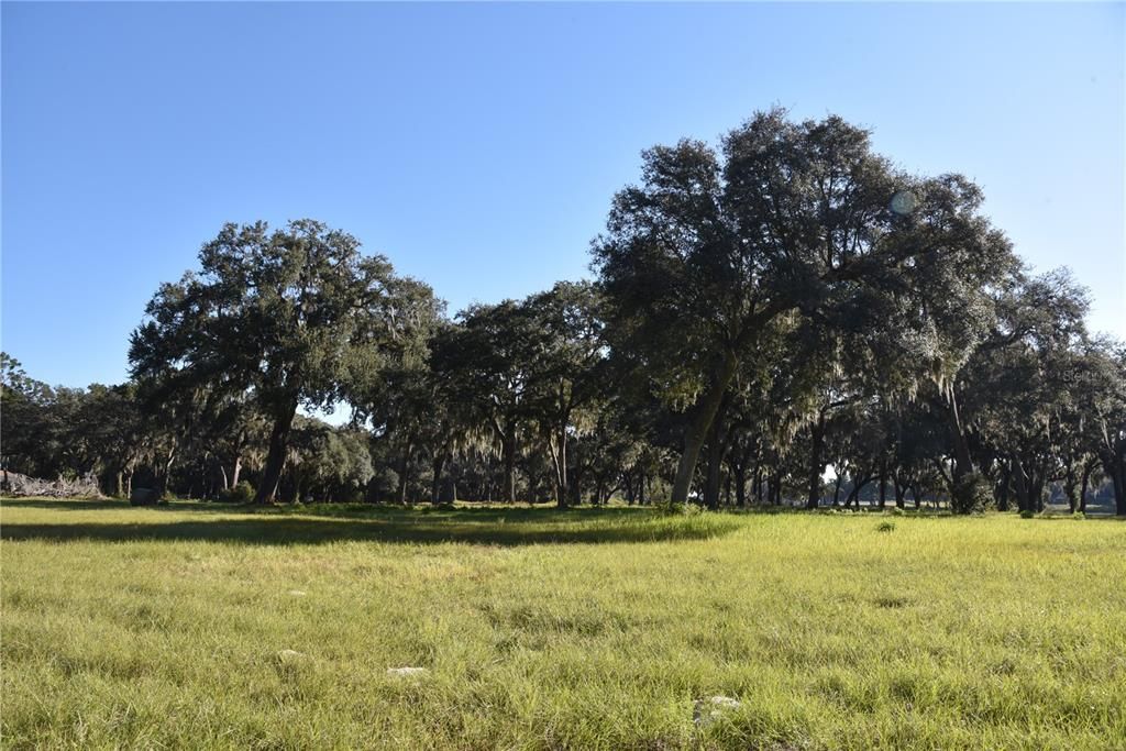 For Sale: $724,900 (16.81 acres)
