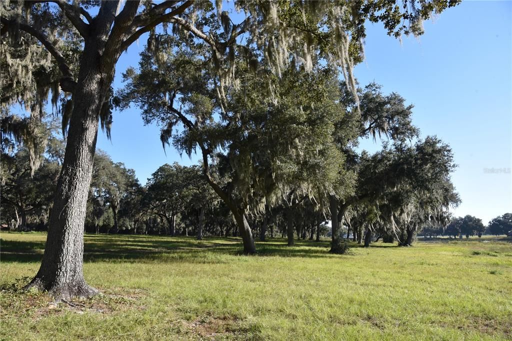 For Sale: $724,900 (16.81 acres)