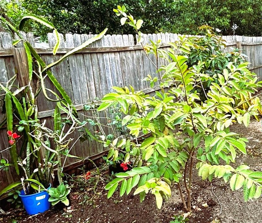 En Venta: $295,500 (3 camas, 1 baños, 1152 Pies cuadrados)