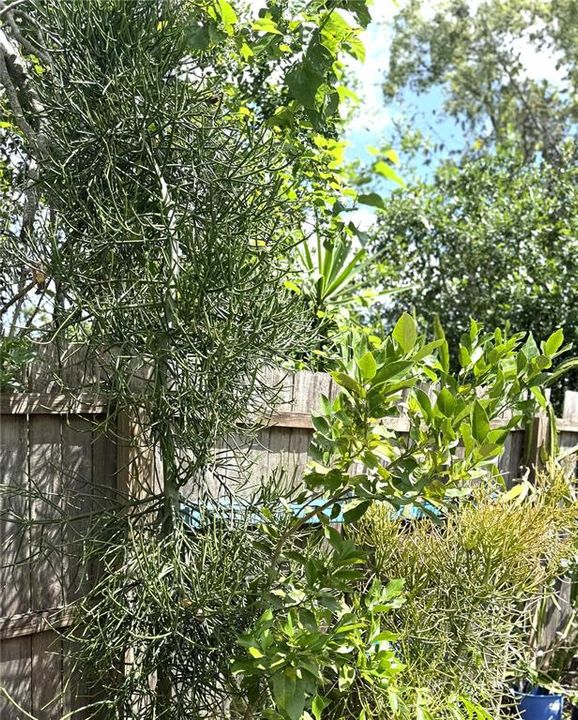 En Venta: $295,500 (3 camas, 1 baños, 1152 Pies cuadrados)