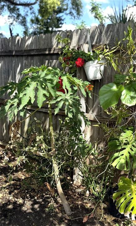 En Venta: $295,500 (3 camas, 1 baños, 1152 Pies cuadrados)