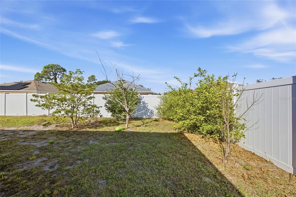 待售: $315,000 (3 贝兹, 2 浴室, 1770 平方英尺)