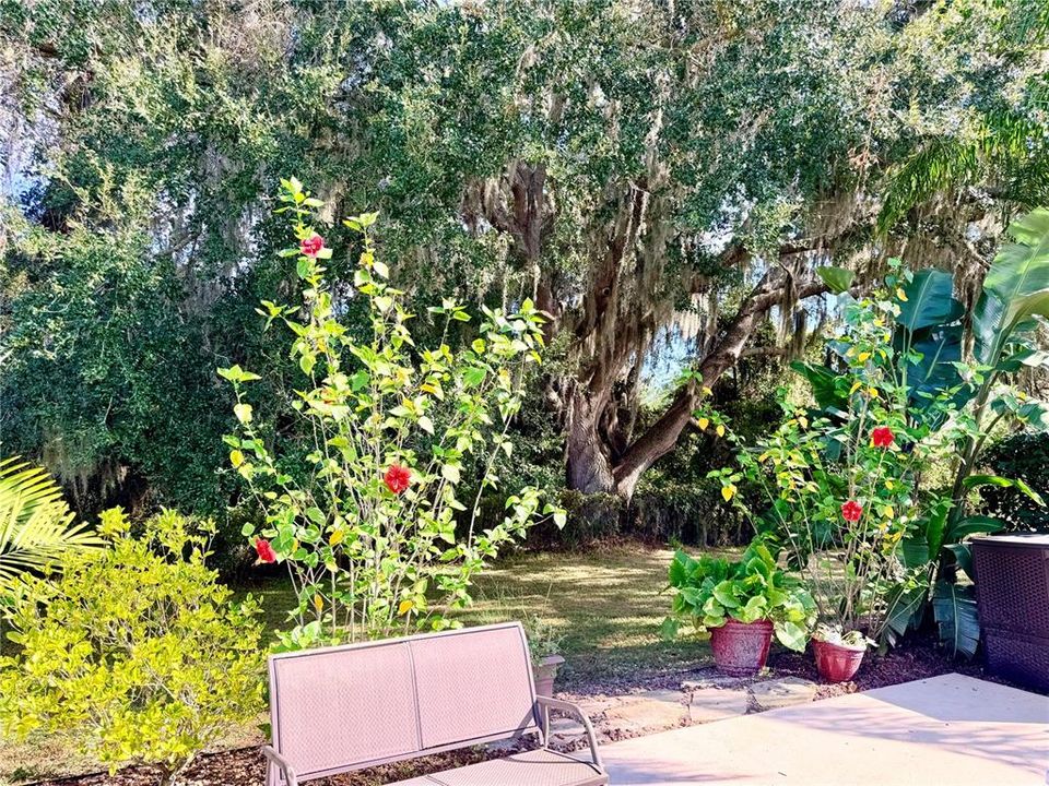 Active With Contract: $84,900 (0.12 acres)