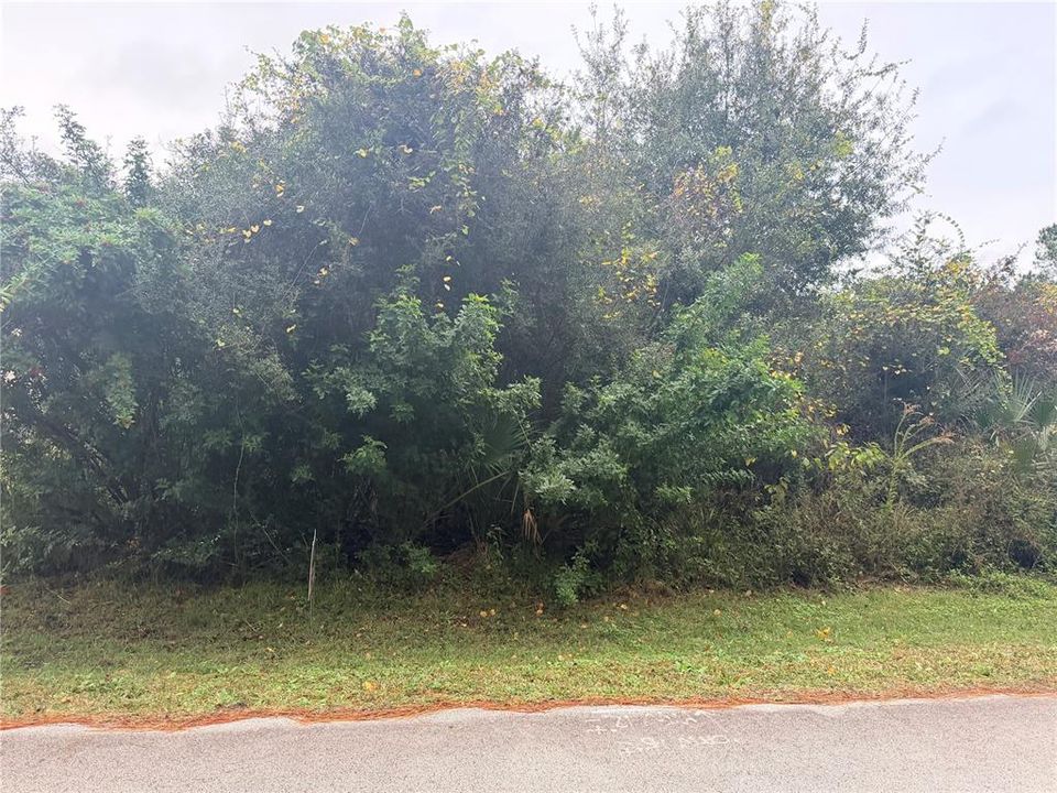 待售: $85,000 (0.23 acres)