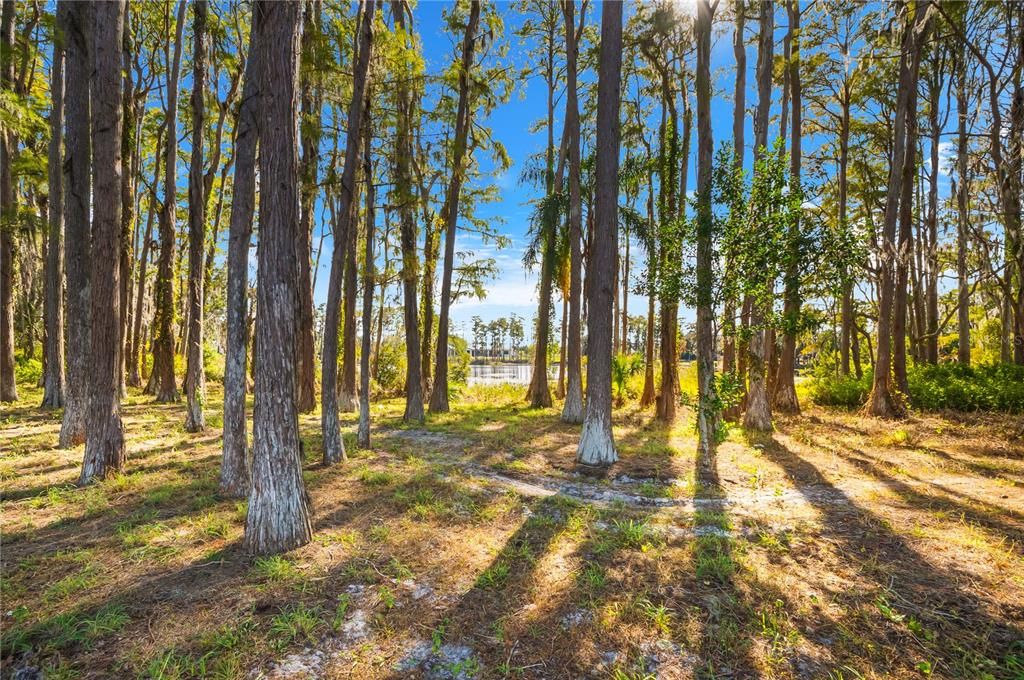 待售: $2,660,000 (4 贝兹, 5 浴室, 5196 平方英尺)