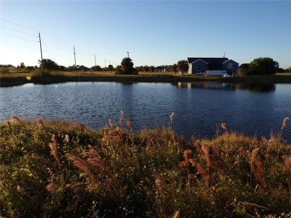 Active With Contract: $29,995 (0.24 acres)