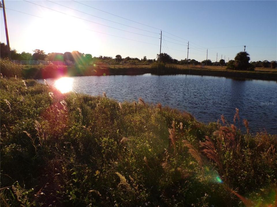 Active With Contract: $29,995 (0.24 acres)