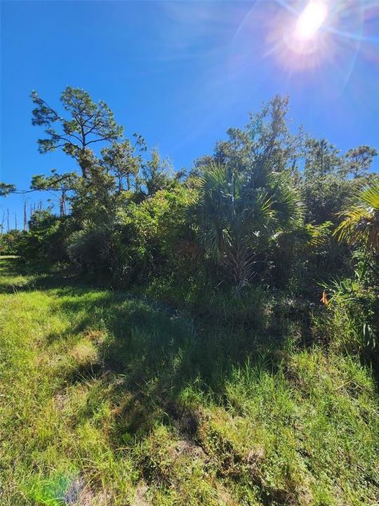 En Venta: $39,900 (0.51 acres)