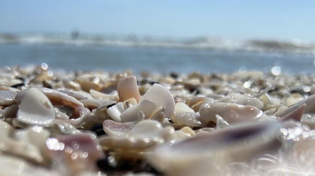 For Sale: $395,000 (2 beds, 2 baths, 946 Square Feet)