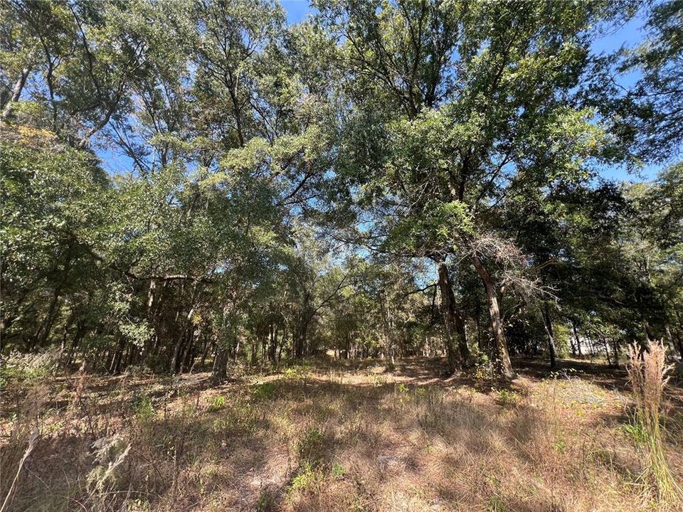 En Venta: $210,000 (4.54 acres)