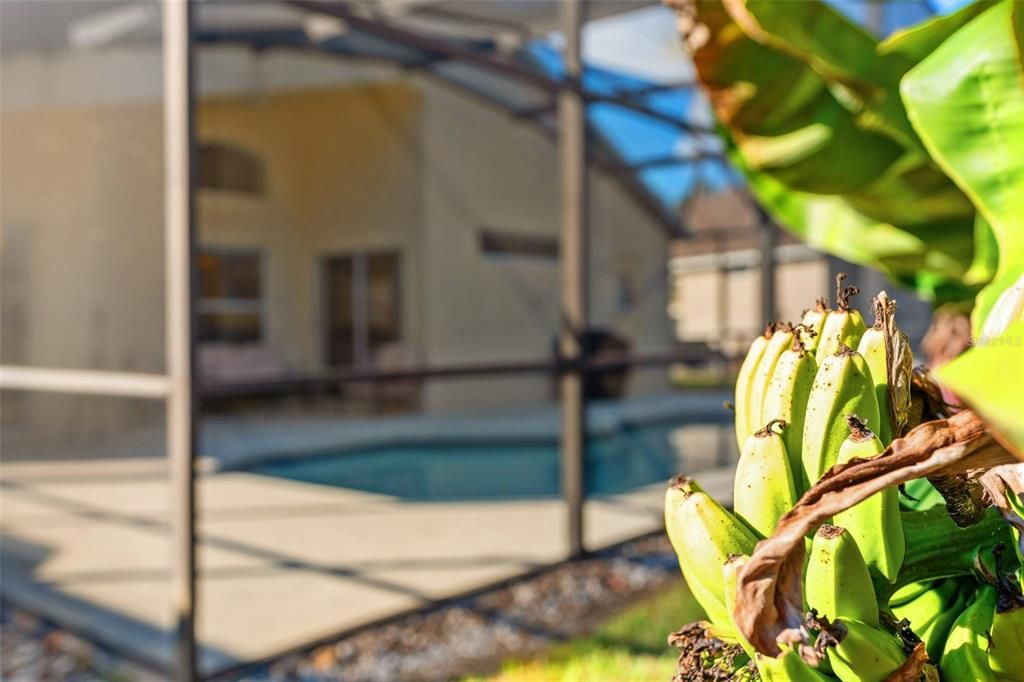 待售: $405,000 (4 贝兹, 3 浴室, 1542 平方英尺)