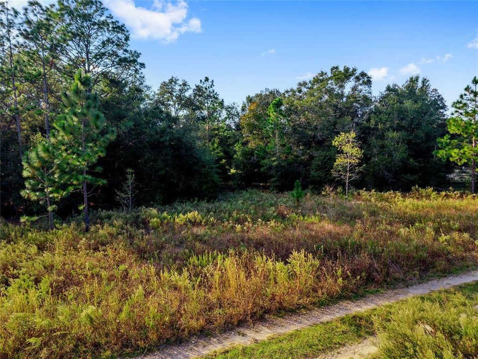 待售: $12,750 (0.23 acres)