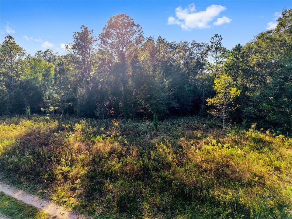 待售: $12,750 (0.23 acres)