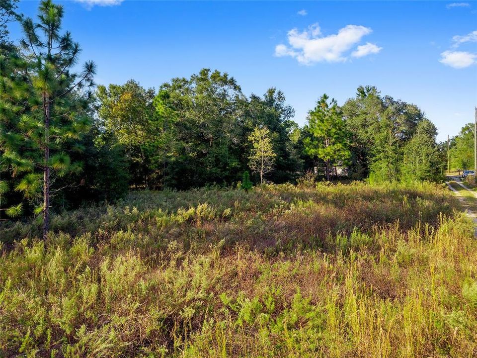 待售: $12,750 (0.23 acres)