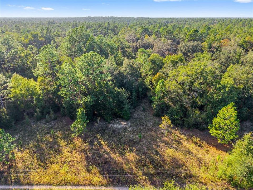 待售: $12,750 (0.23 acres)