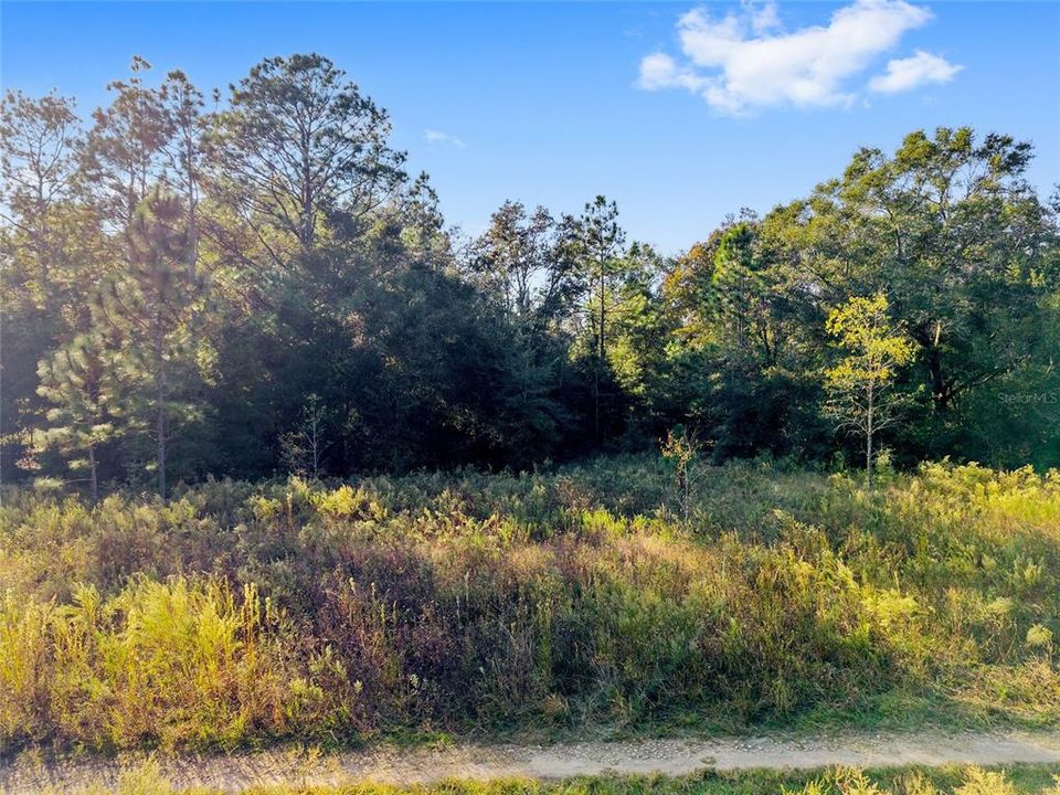 待售: $12,750 (0.23 acres)