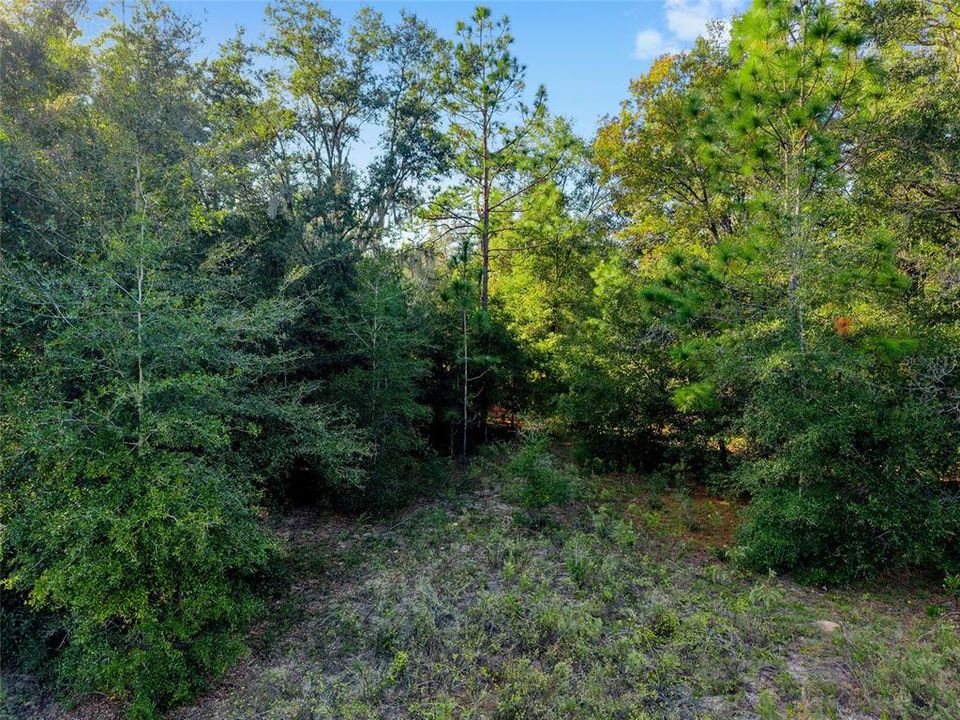 待售: $12,750 (0.23 acres)