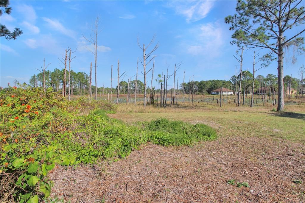 For Sale: $315,000 (3 beds, 2 baths, 1733 Square Feet)